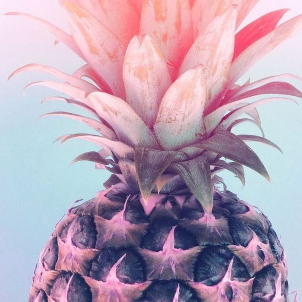 Meet your Posher, Ahnna